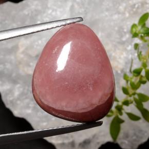 Rhodochrosite multicolore naturelle trillion, 16,34 ct, translucide