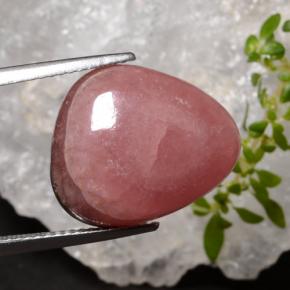 Rhodochrosite multicolore naturelle trillion, 16,34 ct, translucide