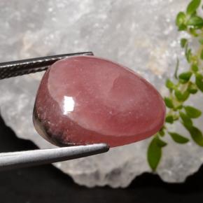 Rhodochrosite multicolore naturelle trillion, 16,34 ct, translucide