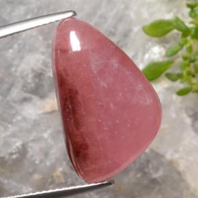 Rhodochrosite multicolore naturelle trillion, 15,47 ct, translucide