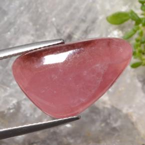 Rhodochrosite multicolore naturelle trillion, 15,47 ct, translucide