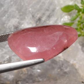 Rhodochrosite multicolore naturelle trillion, 15,47 ct, translucide