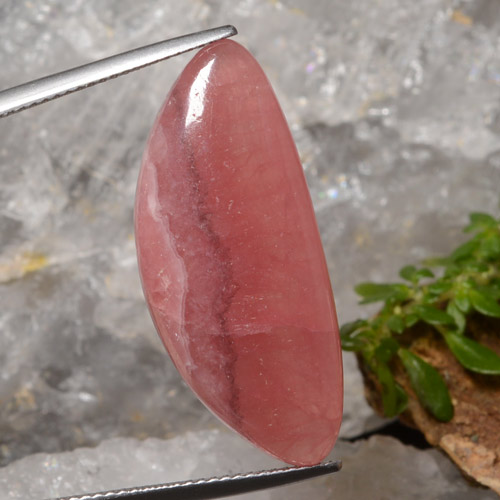 Rhodochrosite Multicolore naturelle Forme fantaisie, 21.36 ct, Translucide