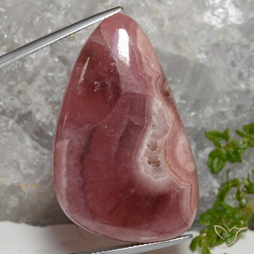 65.86ct Naturel Multicolore Rhodochrosite, Trillion, Translucide