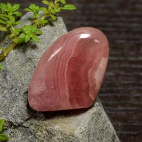 Rhodochrosite Multicolore naturelle Forme fantaisie, 24.73 ct, Translucide