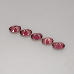 Achetez naturel ct rouge grenat rhodolite gems, coupe ovale, en provenance mozambique chez gemselect. en stock, livraison internationale!