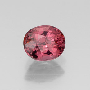 Grenat rhodolite rouge naturelle coupe ovale, 0,70 ct, VS