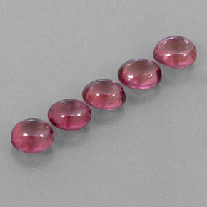 Achetez naturel ct rouge grenat rhodolite gems, transparent, en provenance mozambique chez gemselect. en stock, livraison internationale!