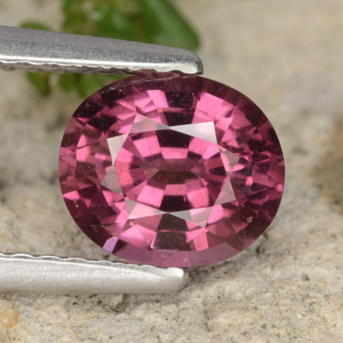 Grenat rhodolite pourpre naturelle coupe ovale, 1,37 ct, VS