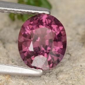 Grenat rhodolite pourpre naturelle coupe ovale, 1,37 ct, VS