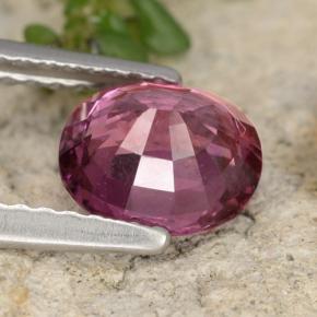 Grenat rhodolite pourpre naturelle coupe ovale, 1,37 ct, VS