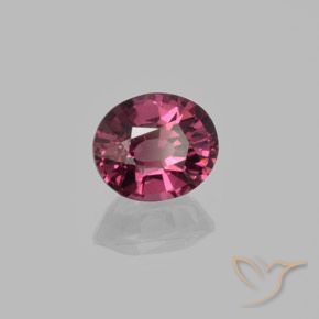 Grenat Rhodolite Rose-magenta naturelle ovale, 1.52 ct, VS