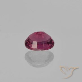 Grenat Rhodolite Rose-magenta naturelle ovale, 1.52 ct, VS