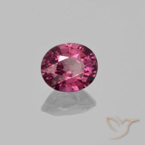 Grenat Rhodolite Pourpre moyen naturelle ovale, 1.43 ct, VS
