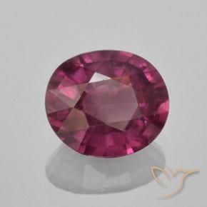 Grenat rhodolite pourpre naturelle coupe ovale, 1,60 ct, VS