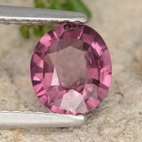 Grenat rhodolite Violet Rosâtre naturelle ovale, 1.23 ct, VS