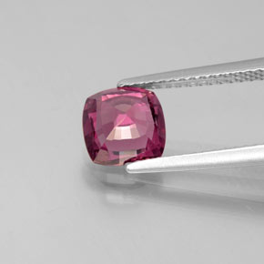 Grenat rhodolite rouge naturelle coupe coussin, 1,65 ct, VS