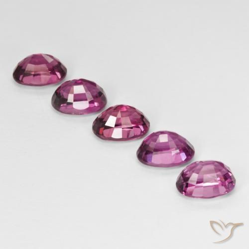 Achetez naturel 6,42ct pourpre grenat rhodolite gems, coupe ovale, en provenance tanzanie chez gemselect. en stock, livraison internationale!