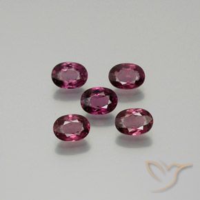 Shop natural 5.27ct Violet foncé Grenat rhodolite gems, ovale, from Tanzanie at GemSelect. In stock, global shipping!
