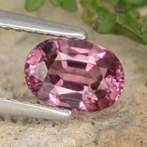 Grenat Rhodolite Rouge framboises naturelle Coupe ovale, 1.42 ct, VVS-VS