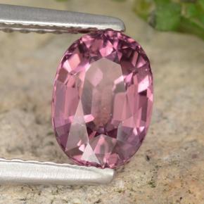 Grenat Rhodolite Rouge framboises naturelle Coupe ovale, 1.42 ct, VVS-VS