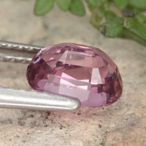Grenat Rhodolite Rouge framboises naturelle Coupe ovale, 1.42 ct, VVS-VS