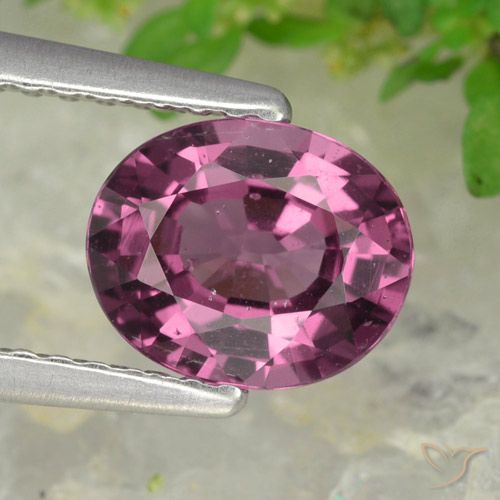 Grenat rhodolite pourpre naturelle coupe ovale, 1,38 ct, VS