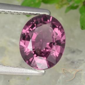 Grenat rhodolite pourpre naturelle coupe ovale, 1,38 ct, VS