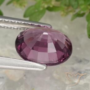 Grenat rhodolite pourpre naturelle coupe ovale, 1,38 ct, VS
