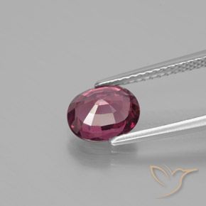 Grenat Rhodolite Rose-magenta naturelle ovale, 1.64 ct, VS