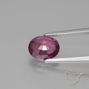Grenat Rhodolite Rose magenta profond naturelle ovale, 1.62 ct, VS