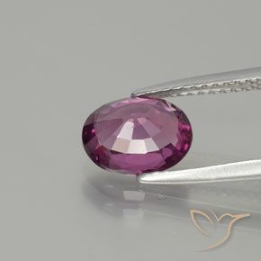 Grenat Rhodolite Violet foncé naturelle ovale, 1.65 ct, VS