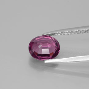 Grenat Rhodolite Pourpre moyen-foncé naturelle Coupe ovale, 1.71 ct, VVS-VS