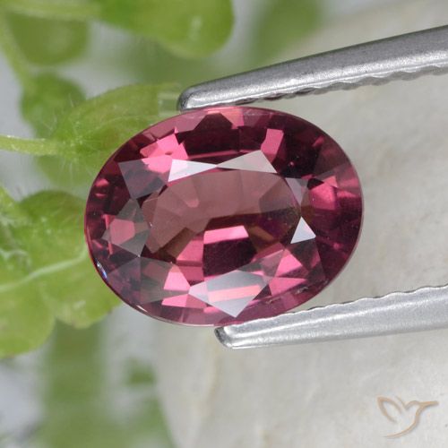 1.53ct Naturel Pourpre moyen Grenat rhodolite, ovale, VS
