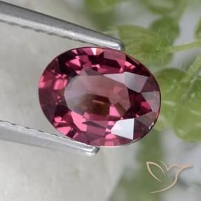 Grenat Rhodolite Pourpre moyen naturelle ovale, 1.53 ct, VS