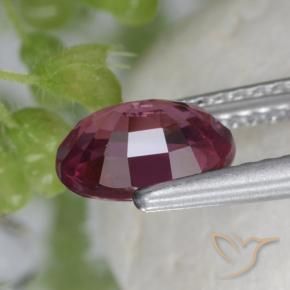 Grenat Rhodolite Pourpre moyen naturelle ovale, 1.53 ct, VS