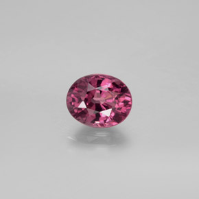 Grenat rhodolite rouge naturelle coupe ovale, 1,52 ct, VVS-VS