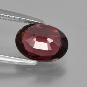 Grenat rhodolite rouge naturelle coupe ovale, 1,54 ct, VS