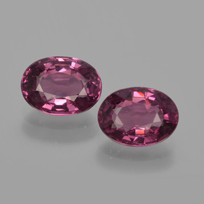 Achetez naturel 2,42ct pourpre grenat rhodolite gems, coupe ovale, en provenance mozambique chez gemselect. en stock, livraison internationale!