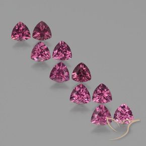 Shop natural 5.20ct Baies pourpre rose profond Grenat Rhodolite gems, Trillion, from Mozambique at GemSelect. In stock, global shipping!