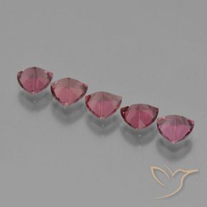 Shop natural 2.62ct Pourpre de baies roses Grenat Rhodolite gems, Trillion, from Mozambique at GemSelect. In stock, global shipping!
