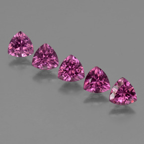 Achetez naturel 2,77ct rose grenat rhodolite gems, trillion, en provenance mozambique chez gemselect. en stock, livraison internationale!