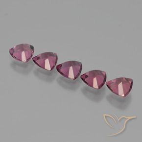 Shop natural 2.58ct Pourpre de baies roses Grenat Rhodolite gems, Trillion, from Mozambique at GemSelect. In stock, global shipping!
