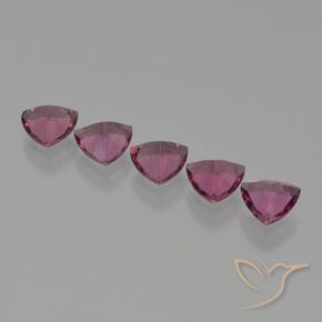 Shop natural 2.43ct Pourpre moyen Grenat Rhodolite gems, Trillion, from Mozambique at GemSelect. In stock, global shipping!