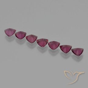 Shop natural 3.33ct Pourpre de baies roses Grenat Rhodolite gems, Trillion, from Mozambique at GemSelect. In stock, global shipping!