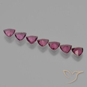 Shop natural 2.76ct Pourpre moyen Grenat Rhodolite gems, Trillion, from Mozambique at GemSelect. In stock, global shipping!