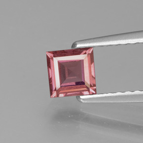 Grenat rhodolite rose naturelle carré, 0,52 ct, VS