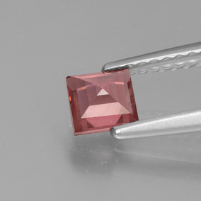 Grenat rhodolite rose naturelle carré, 0,52 ct, VS