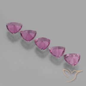 Shop natural 2.59ct Pourpre moyen Grenat Rhodolite gems, Trillion, from Tanzanie at GemSelect. In stock, global shipping!