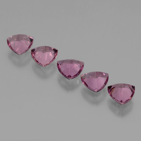 Achetez naturel 2.69ct Rose Grenat Rhodolite gems, Trillion, En provenance Tanzanie chez GemSelect. En stock, livraison internationale!